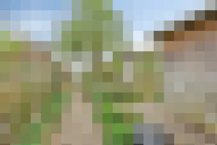 Oude Leedeweg 92 Pijnacker thumbnail 37