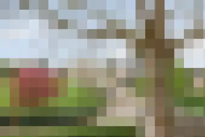 Oude Leedeweg 92 Pijnacker thumbnail 42