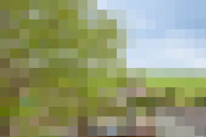 Oude Leedeweg 92 Pijnacker thumbnail 43
