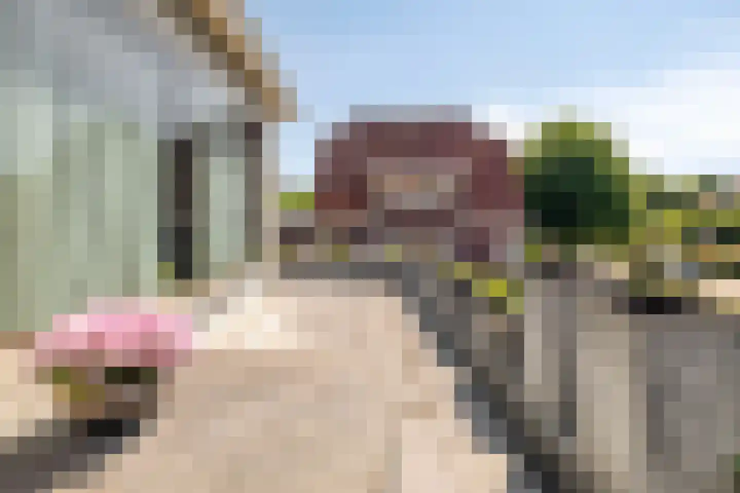 Oude Liesboslaan 164 Breda thumbnail 12