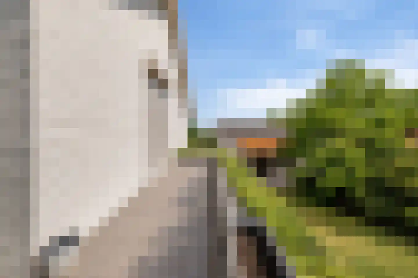 Oude Liesboslaan 164 Breda thumbnail 14