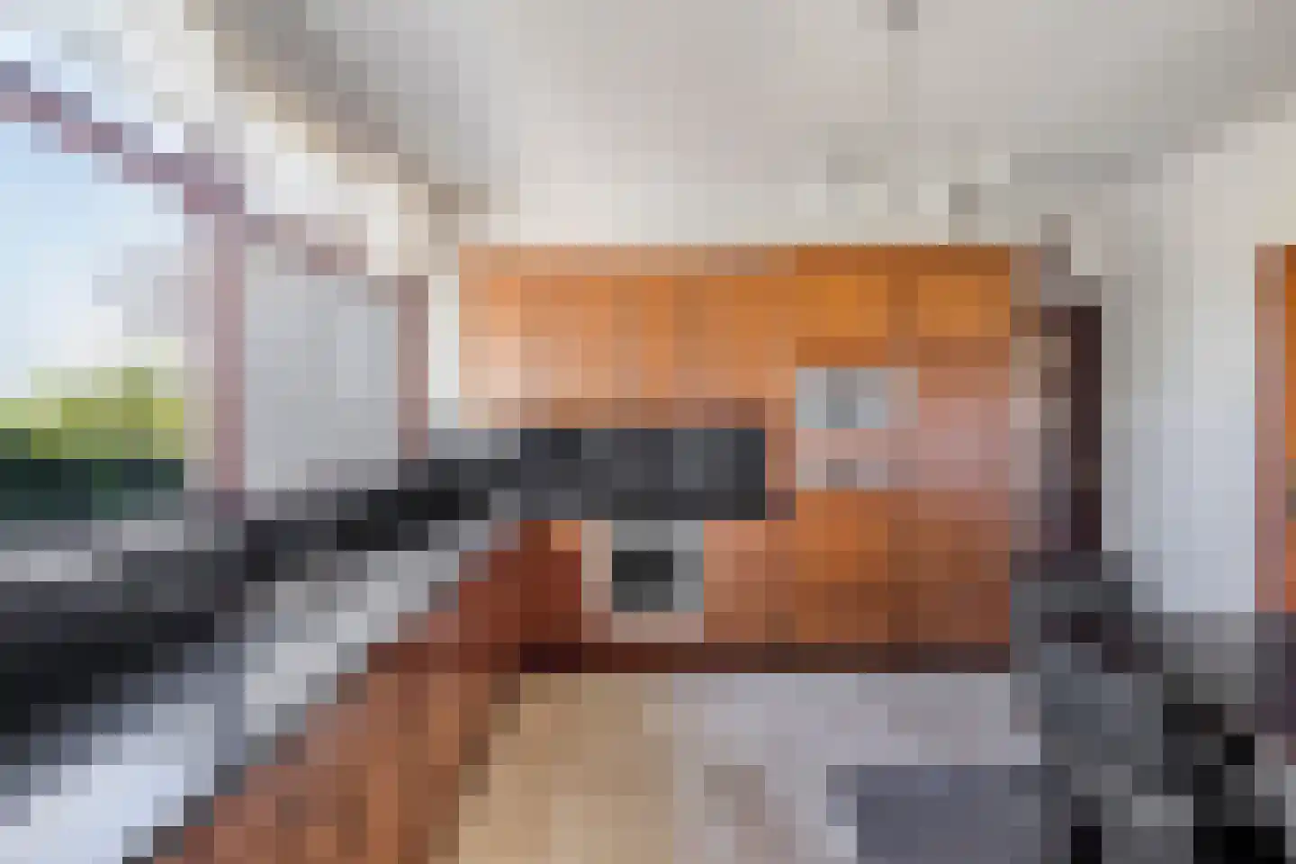 Oude Liesboslaan 164 Breda thumbnail 4