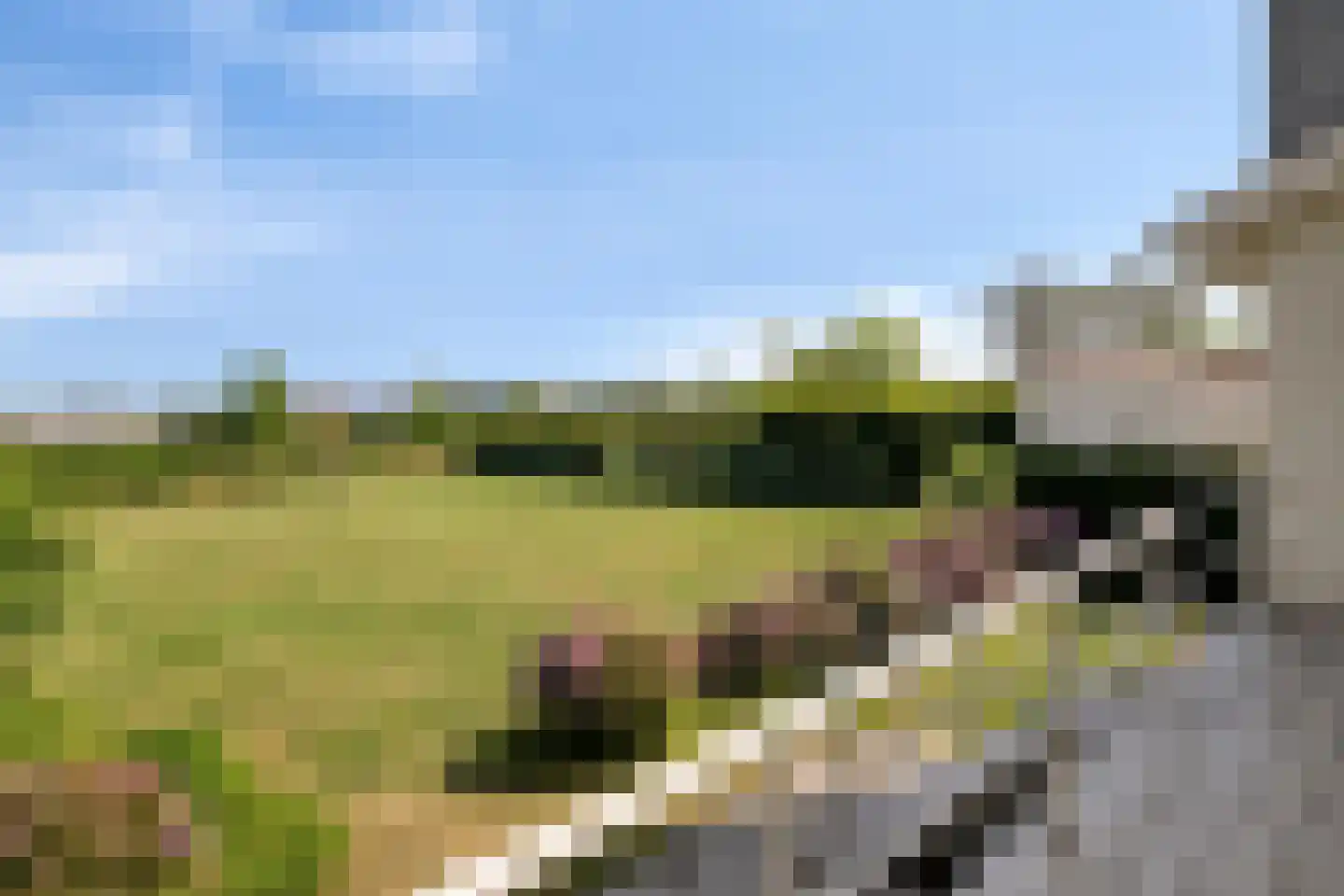 Oude Liesboslaan 164 Breda thumbnail 58