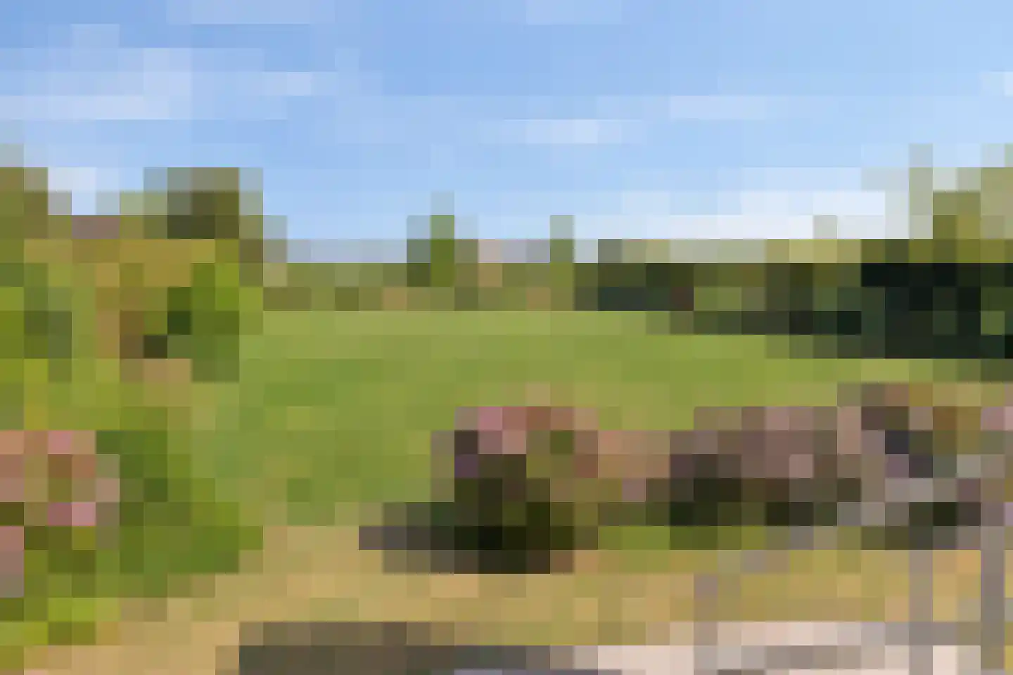 Oude Liesboslaan 164 Breda thumbnail 59