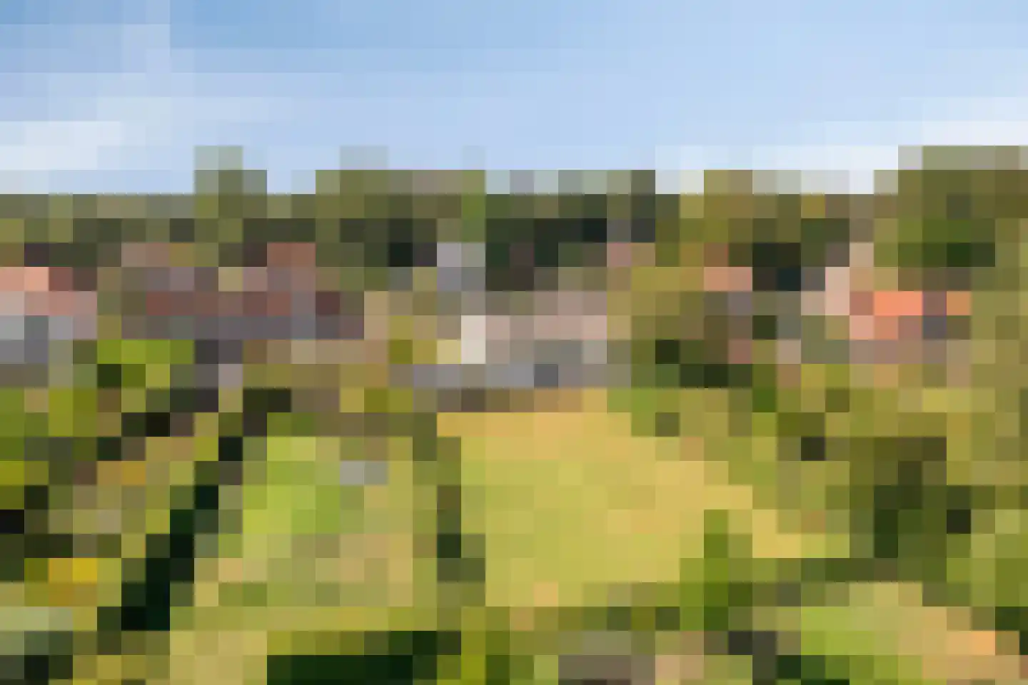 Oude Liesboslaan 164 Breda thumbnail 6