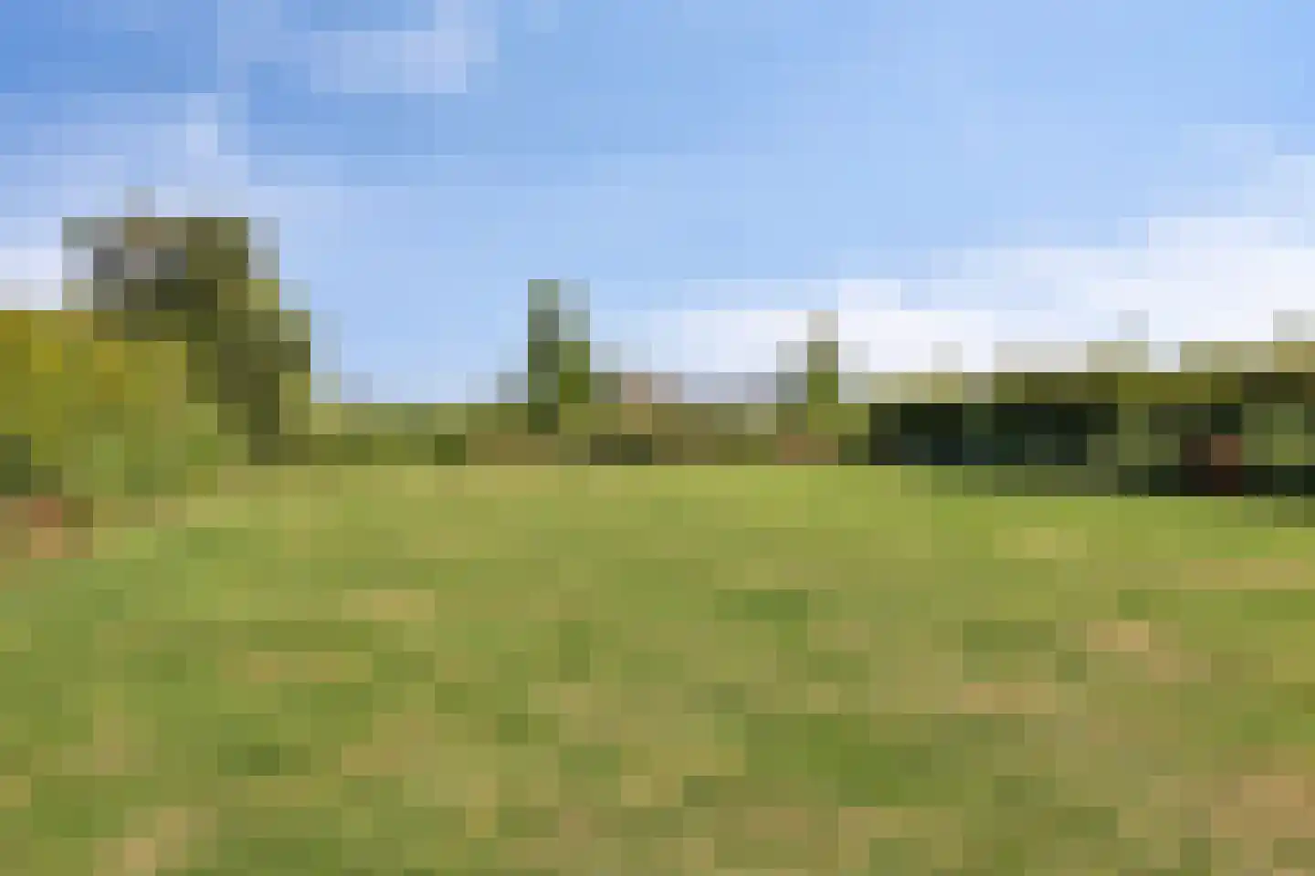 Oude Liesboslaan 164 Breda thumbnail 61