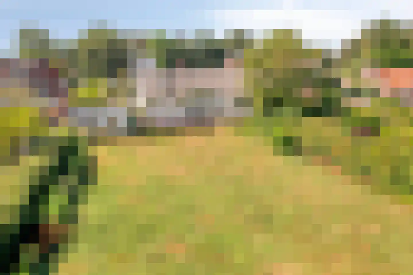 Oude Liesboslaan 164 Breda thumbnail 64