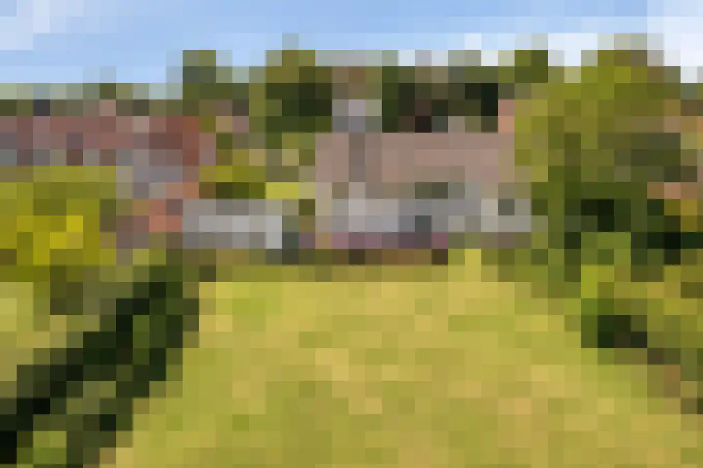 Oude Liesboslaan 164 Breda thumbnail 66