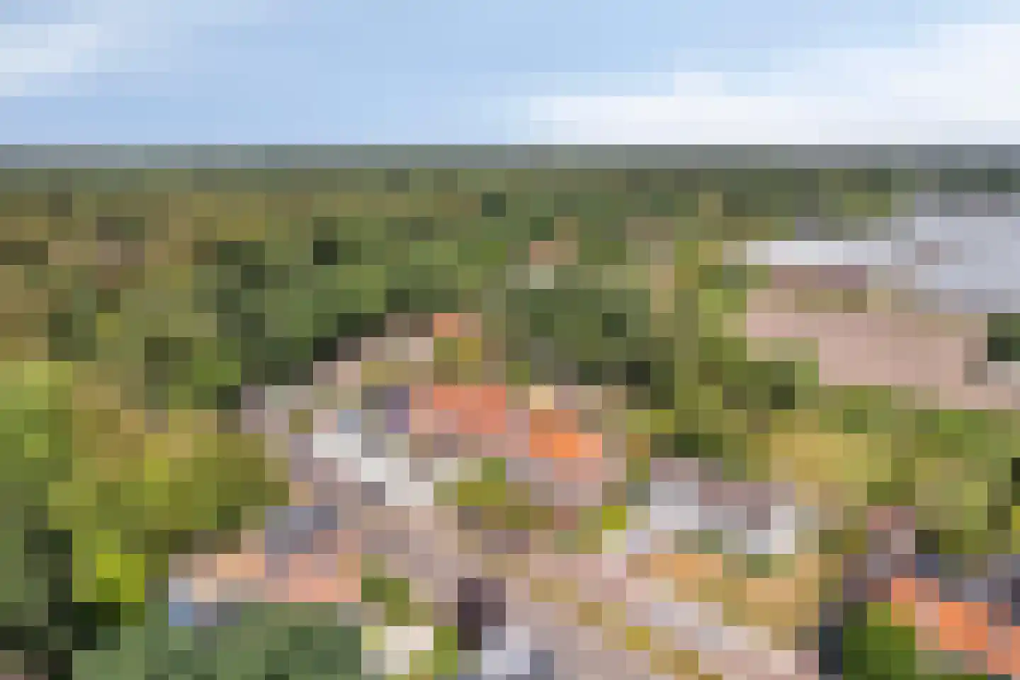 Oude Liesboslaan 164 Breda thumbnail 69