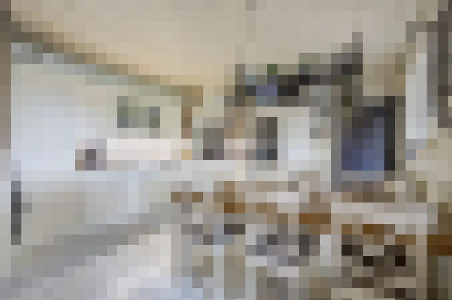 Oude Liesboslaan 261 Breda thumbnail 30