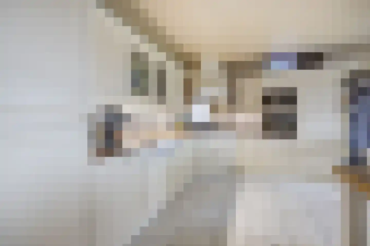 Oude Liesboslaan 261 Breda thumbnail 31