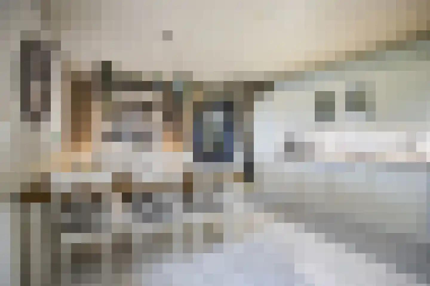 Oude Liesboslaan 261 Breda thumbnail 33