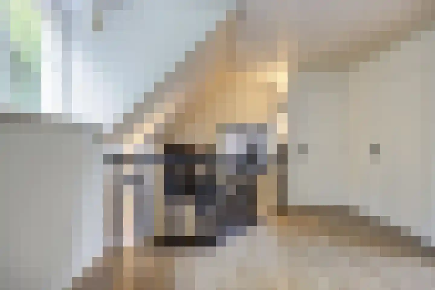 Oude Liesboslaan 261 Breda thumbnail 36