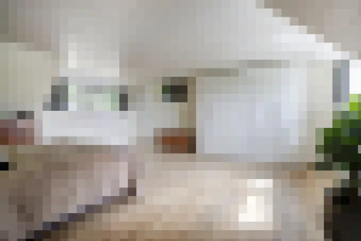 Oude Liesboslaan 261 Breda thumbnail 42
