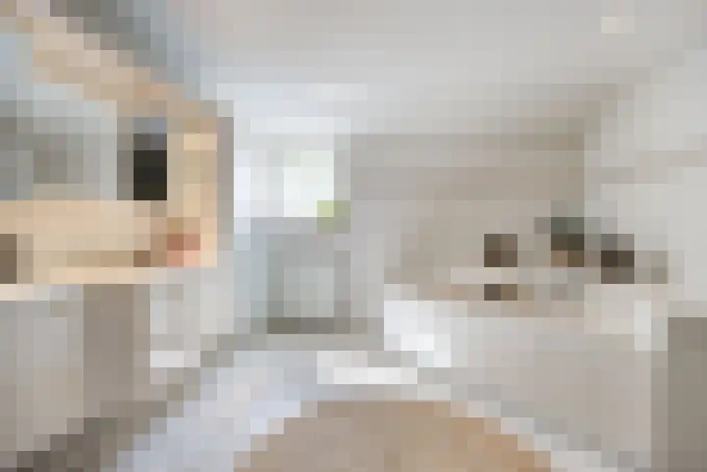 Oude Liesboslaan 261 Breda thumbnail 47
