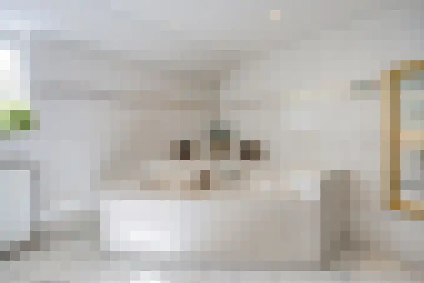Oude Liesboslaan 261 Breda thumbnail 48