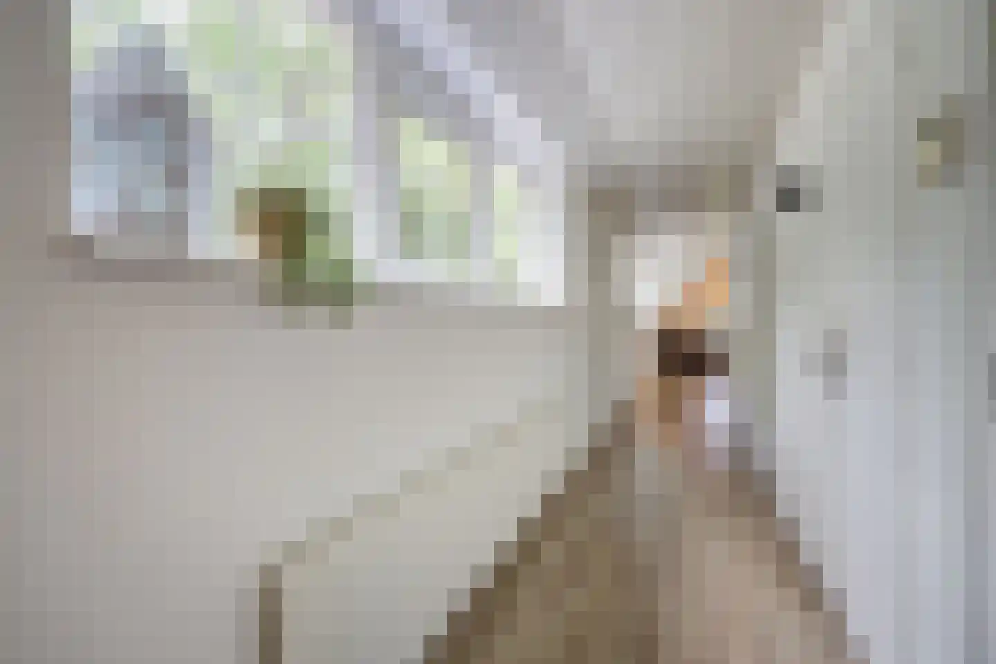 Oude Liesboslaan 261 Breda thumbnail 52