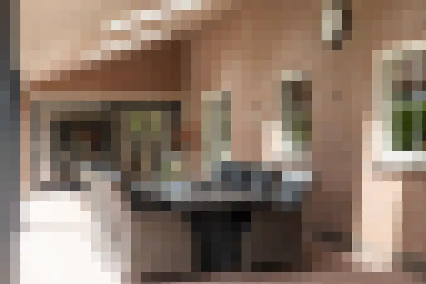 Oude Liesboslaan 261 Breda thumbnail 53