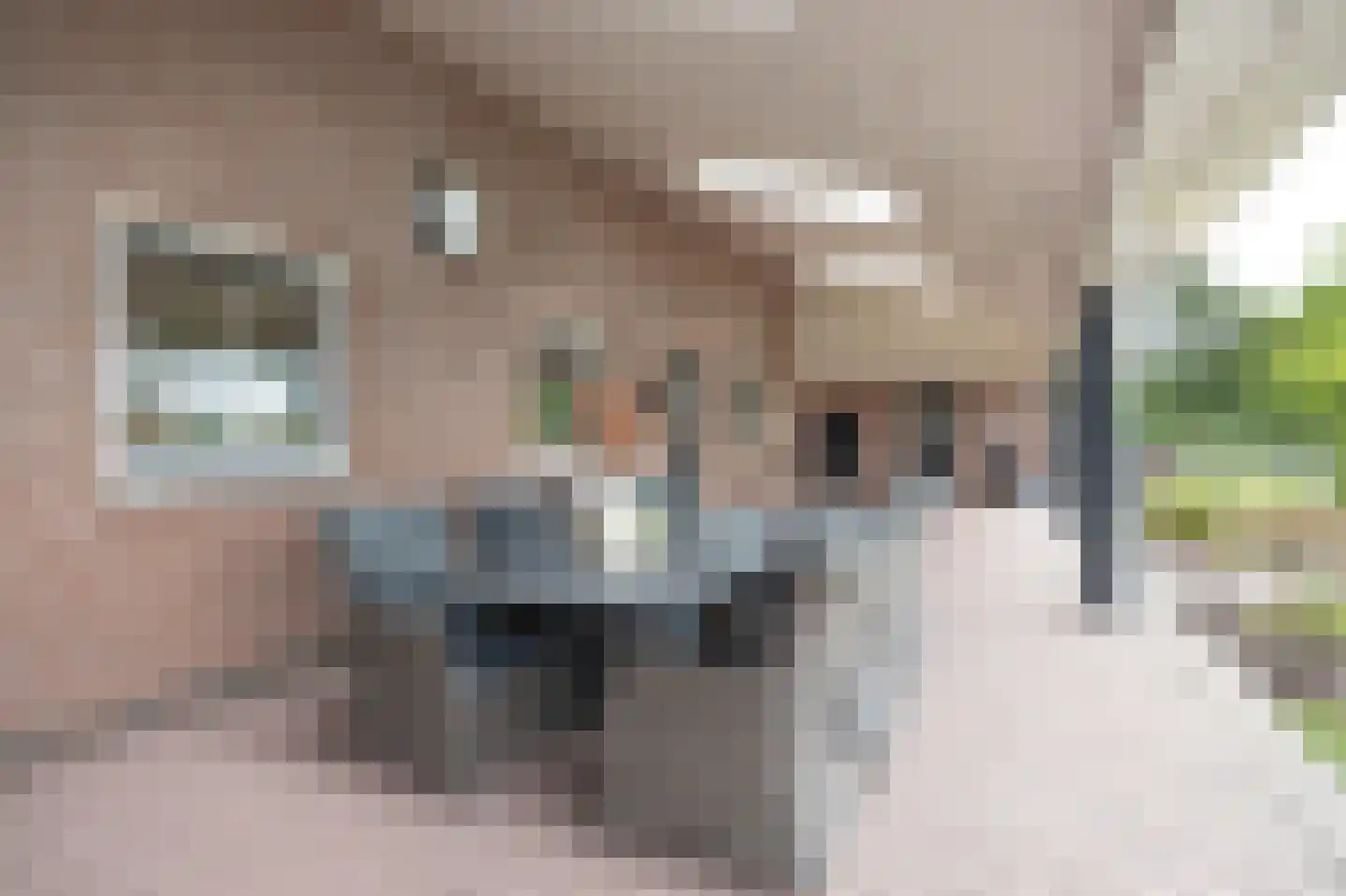 Oude Liesboslaan 261 Breda thumbnail 54