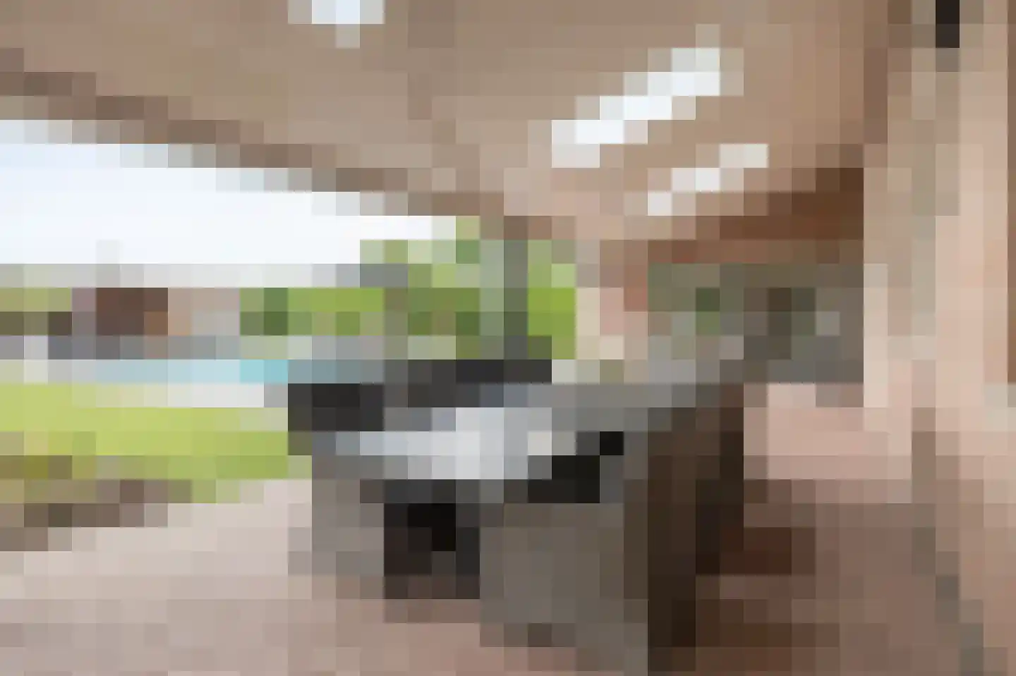 Oude Liesboslaan 261 Breda thumbnail 55