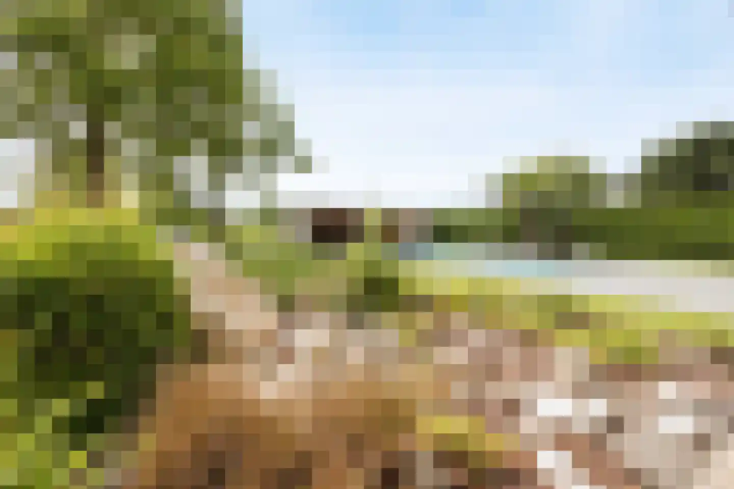 Oude Liesboslaan 261 Breda thumbnail 60