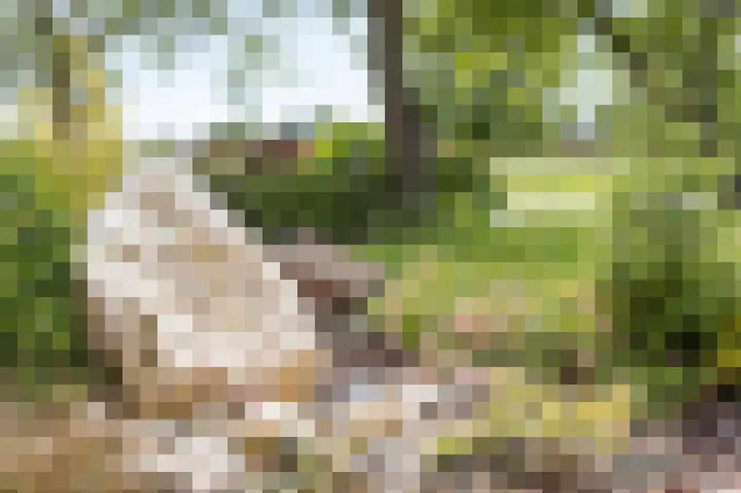 Oude Liesboslaan 261 Breda thumbnail 63