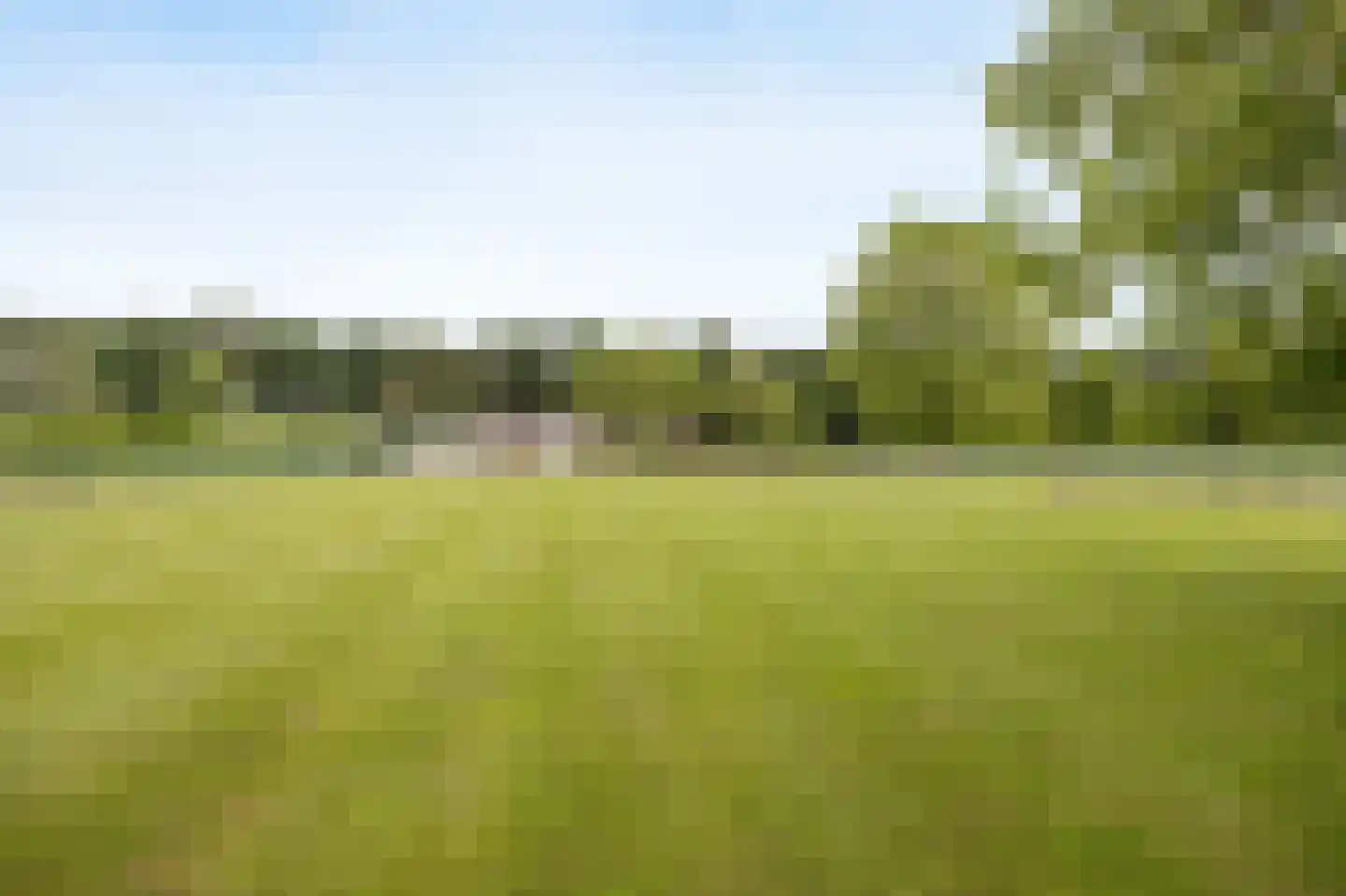 Oude Liesboslaan 261 Breda thumbnail 70