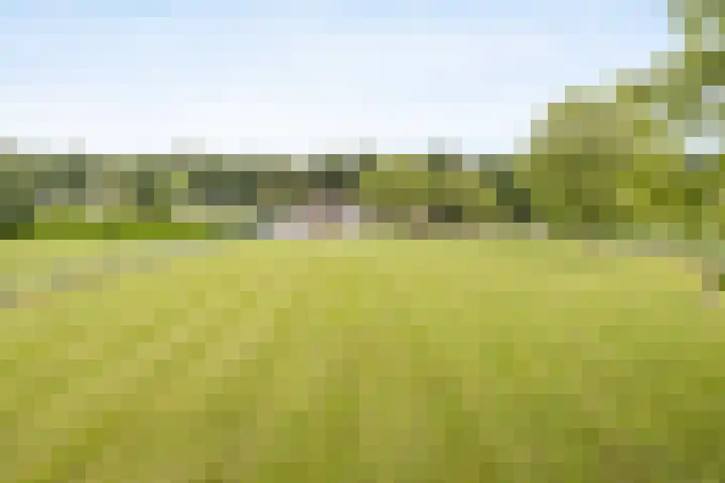 Oude Liesboslaan 261 Breda thumbnail 71