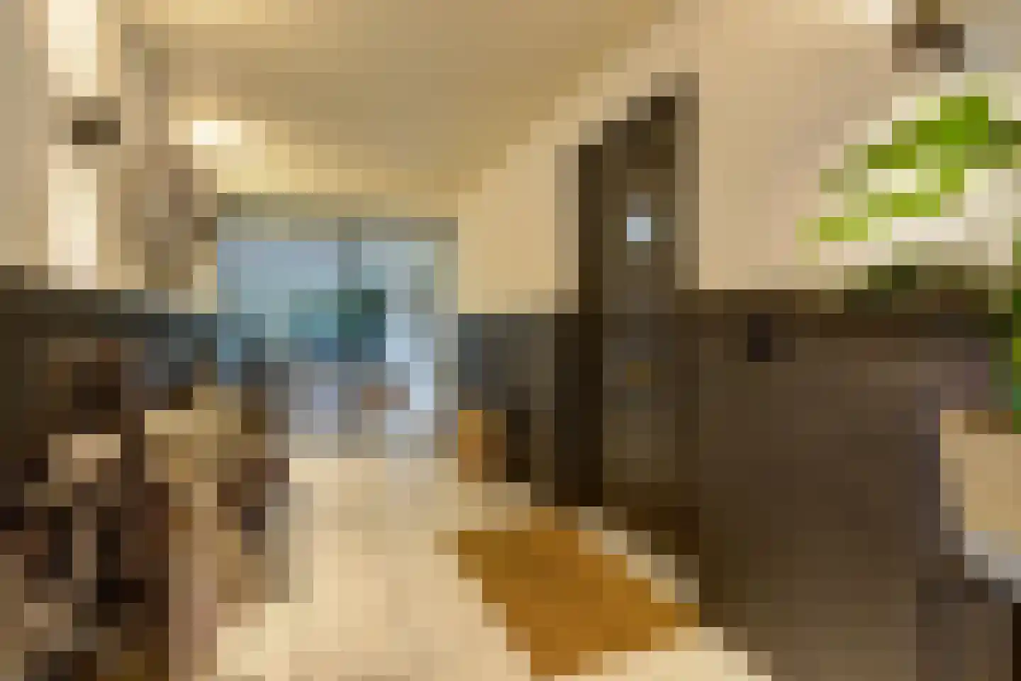 Oude Liesboslaan 261 Breda thumbnail 8