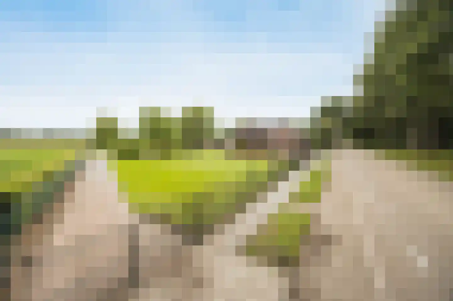 Oude Liesboslaan 261 Breda thumbnail 81