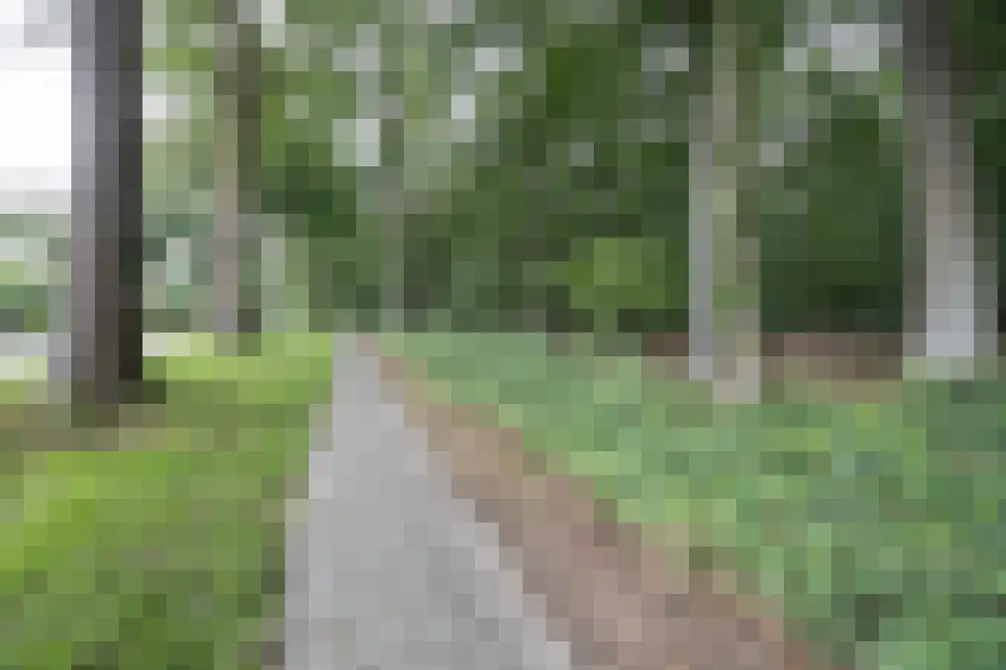 Oude Liesboslaan 261 Breda thumbnail 97