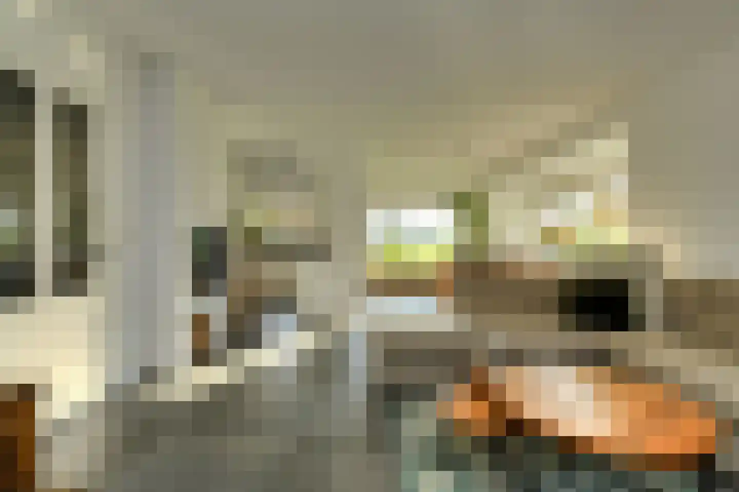 Oude Liesboslaan 265 Breda thumbnail 13