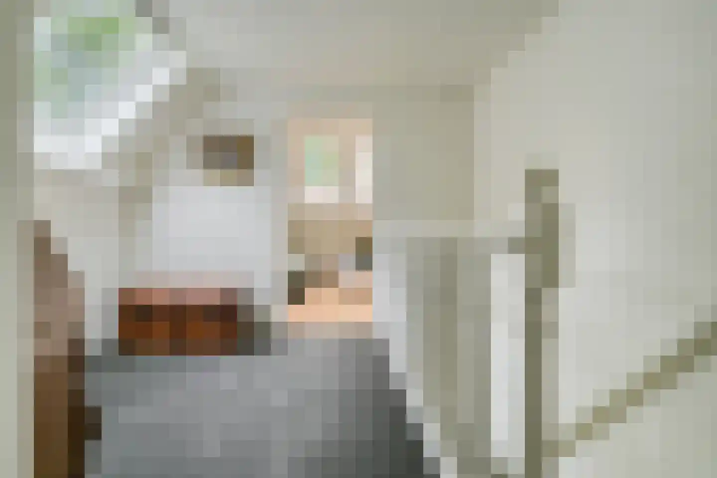 Oude Liesboslaan 265 Breda thumbnail 18