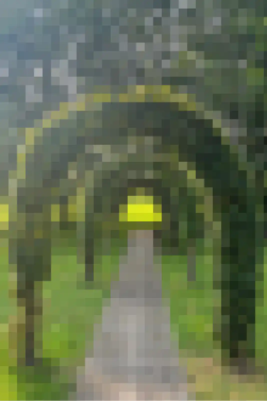 Oude Liesboslaan 265 Breda thumbnail 28