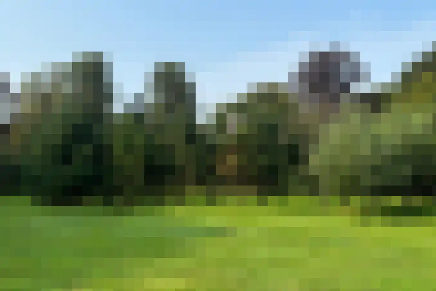 Oude Liesboslaan 265 Breda thumbnail 30