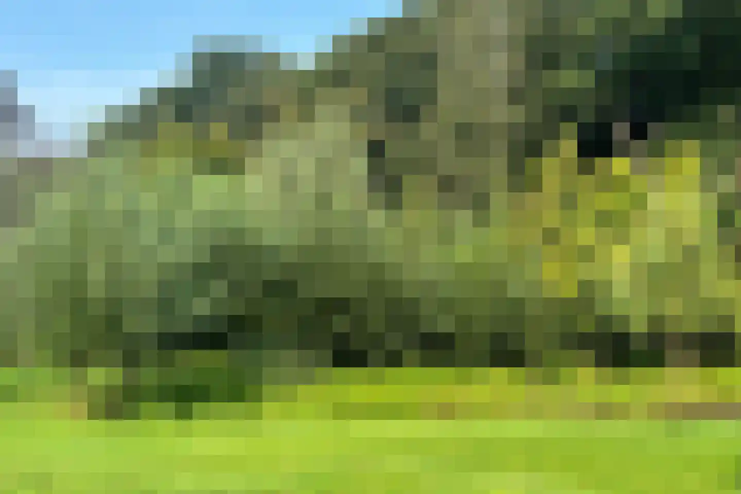 Oude Liesboslaan 265 Breda thumbnail 31
