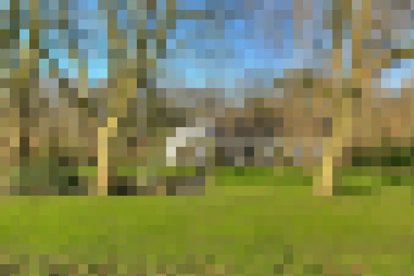 Oude Liesboslaan 265 Breda thumbnail 32