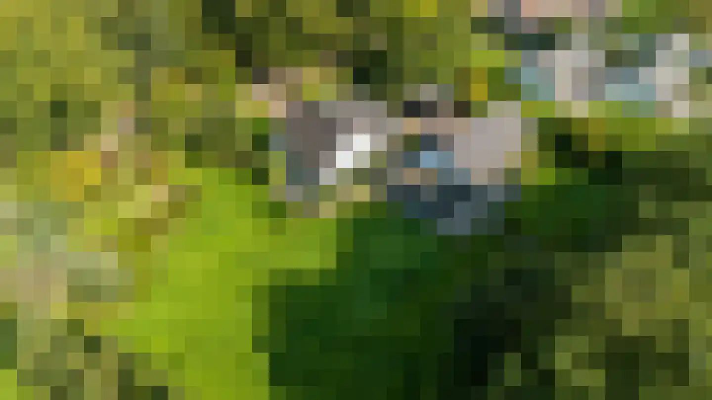 Oude Liesboslaan 265 Breda thumbnail 35