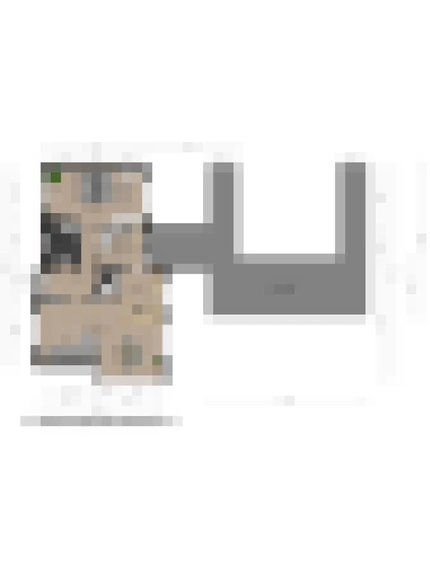 Oude Liesboslaan 265 Breda thumbnail 38