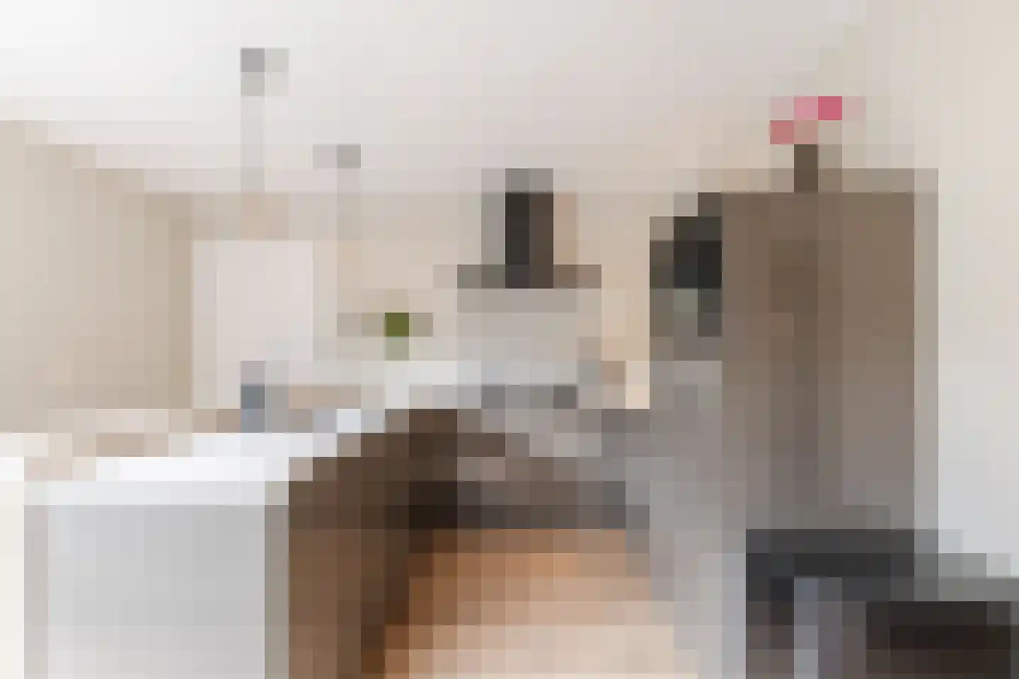 Oude Lieshoutseweg 6 a Sint-Oedenrode thumbnail 11