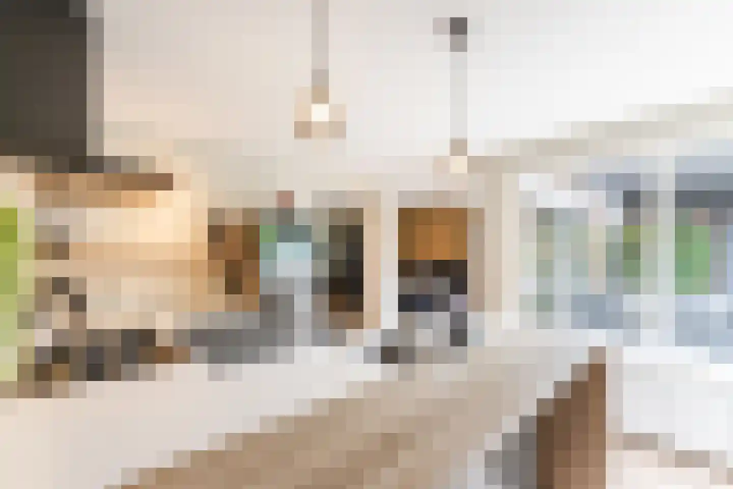 Oude Lieshoutseweg 6 a Sint-Oedenrode thumbnail 12