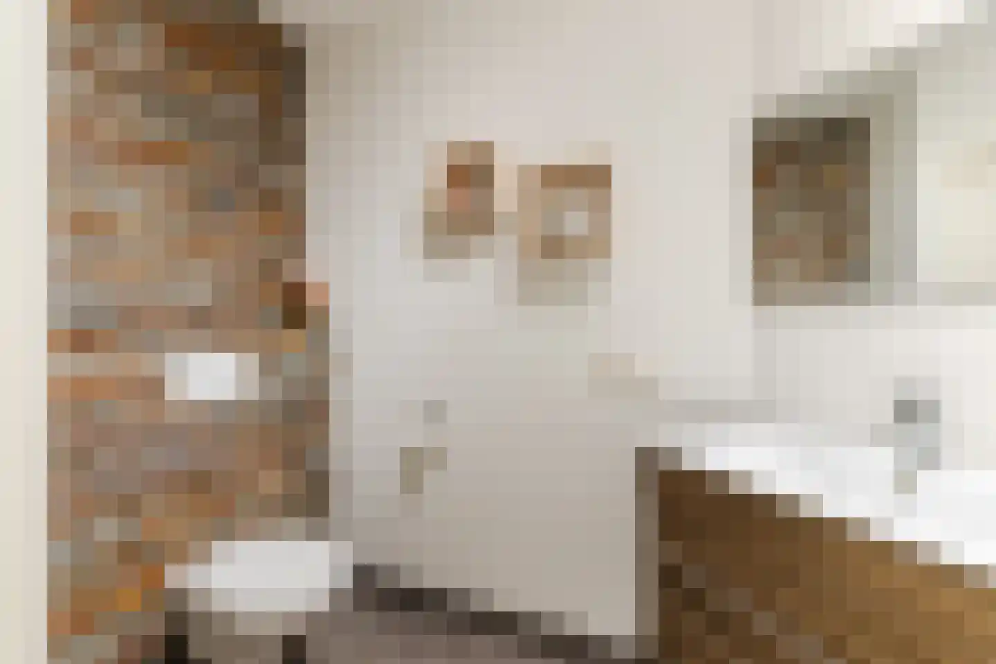 Oude Lieshoutseweg 6 a Sint-Oedenrode thumbnail 13