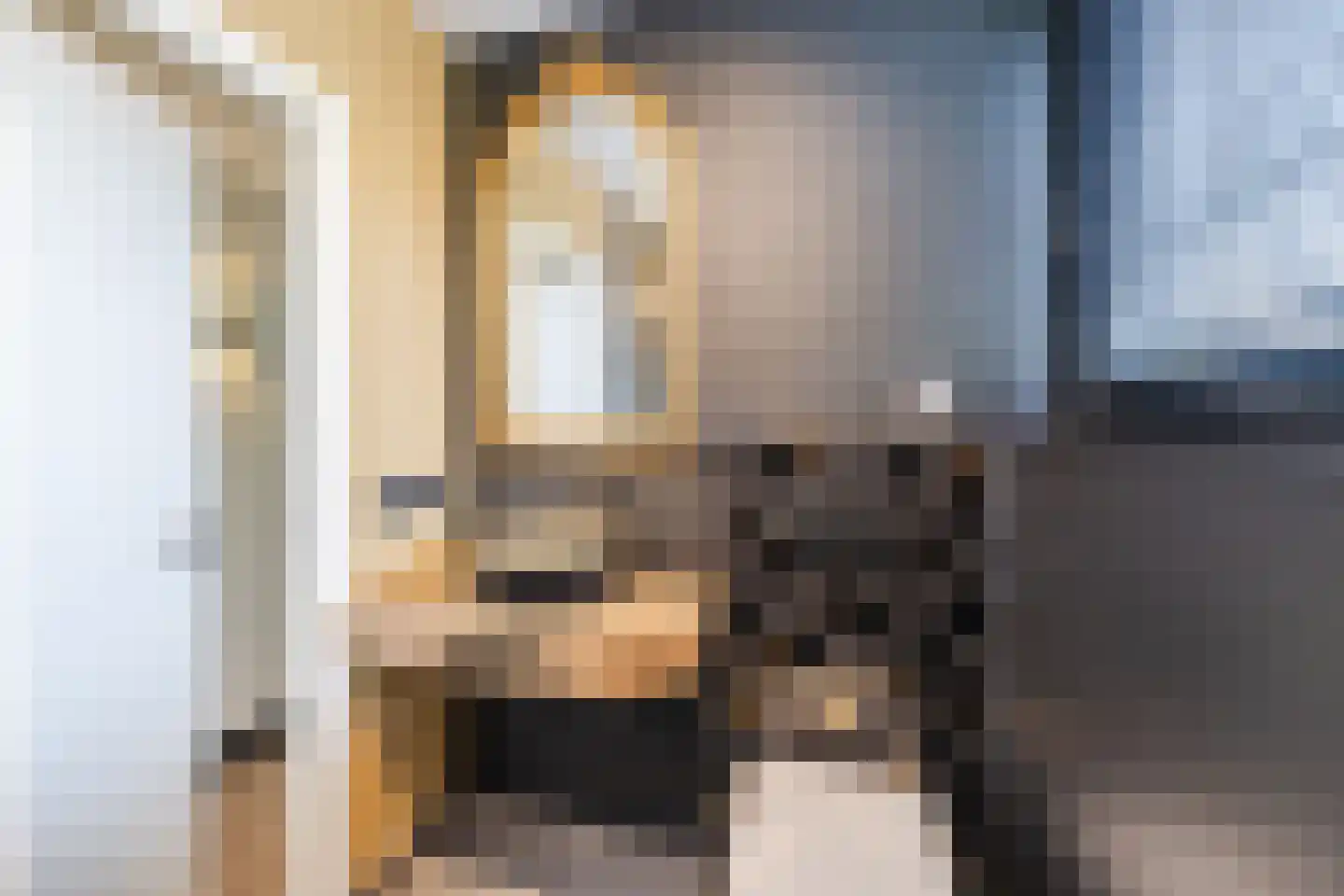 Oude Lieshoutseweg 6 a Sint-Oedenrode thumbnail 18