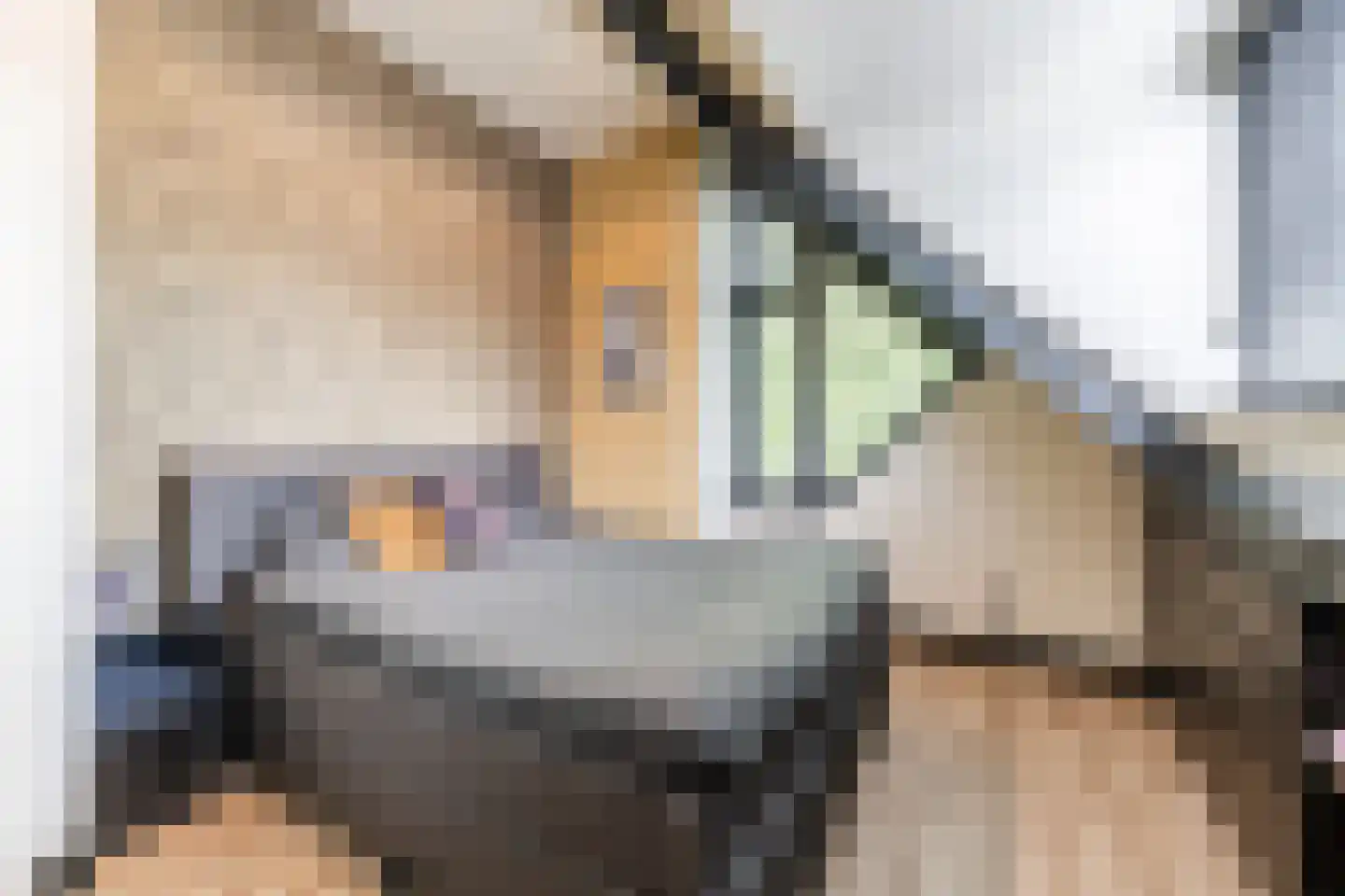 Oude Lieshoutseweg 6 a Sint-Oedenrode thumbnail 20