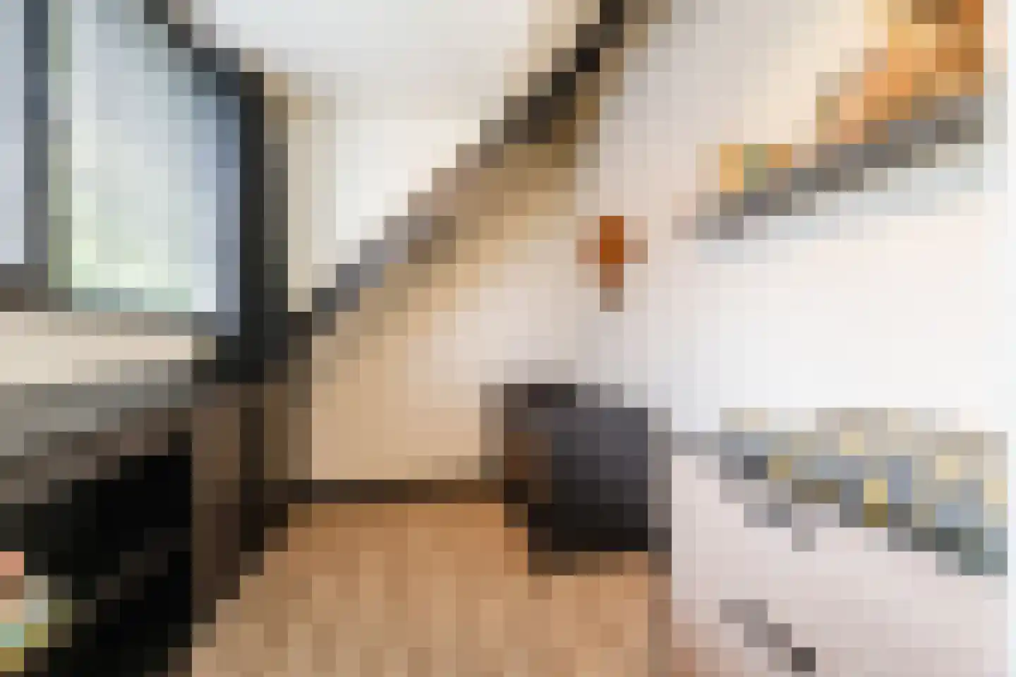 Oude Lieshoutseweg 6 a Sint-Oedenrode thumbnail 23