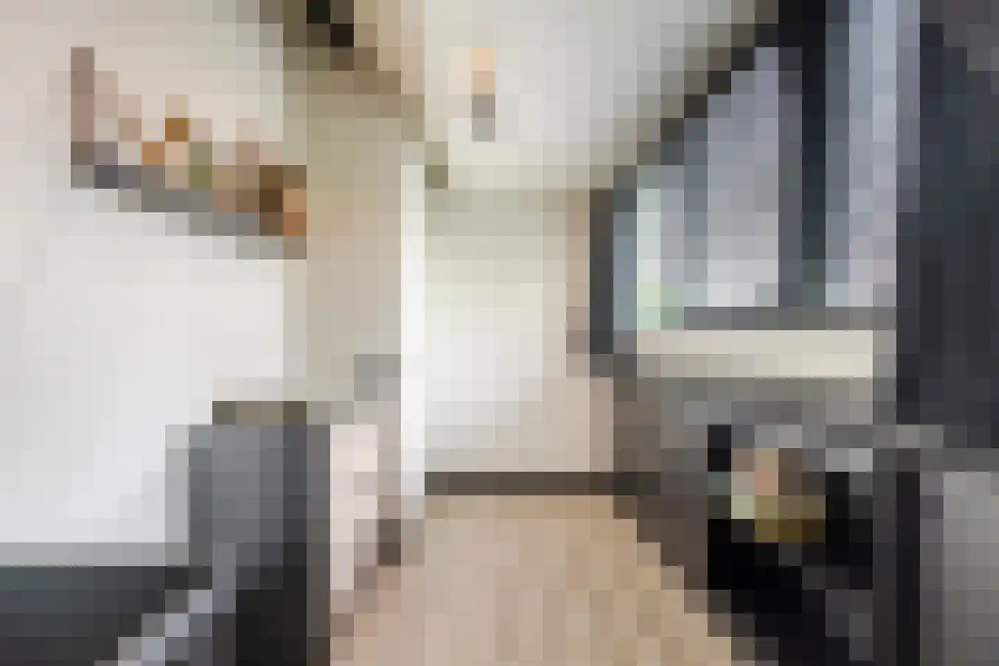 Oude Lieshoutseweg 6 a Sint-Oedenrode thumbnail 24