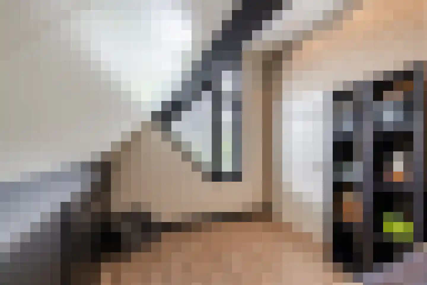 Oude Lieshoutseweg 6 a Sint-Oedenrode thumbnail 27