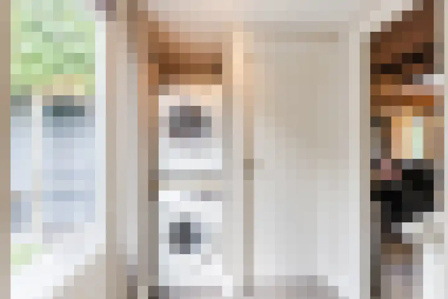 Oude Lieshoutseweg 6 a Sint-Oedenrode thumbnail 30