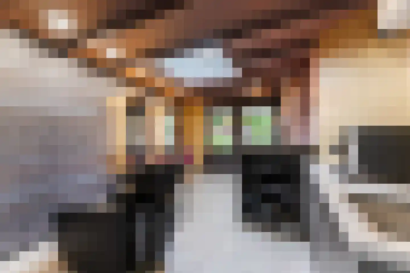 Oude Lieshoutseweg 6 a Sint-Oedenrode thumbnail 34