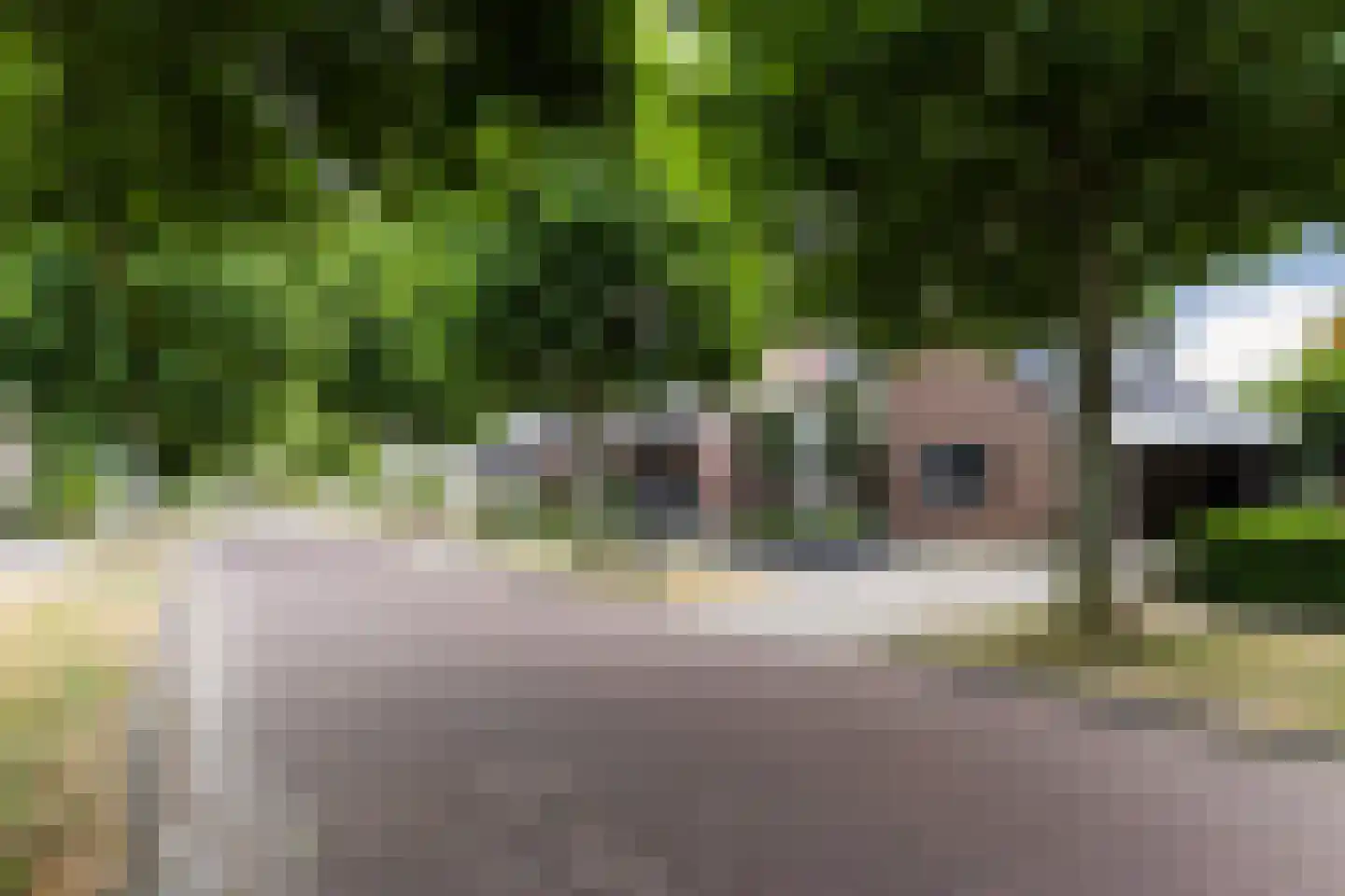 Oude Lieshoutseweg 6 a Sint-Oedenrode thumbnail 39